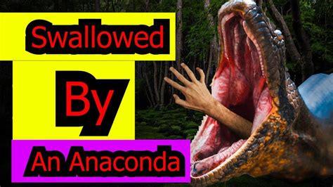 anaconda forestdale|In.